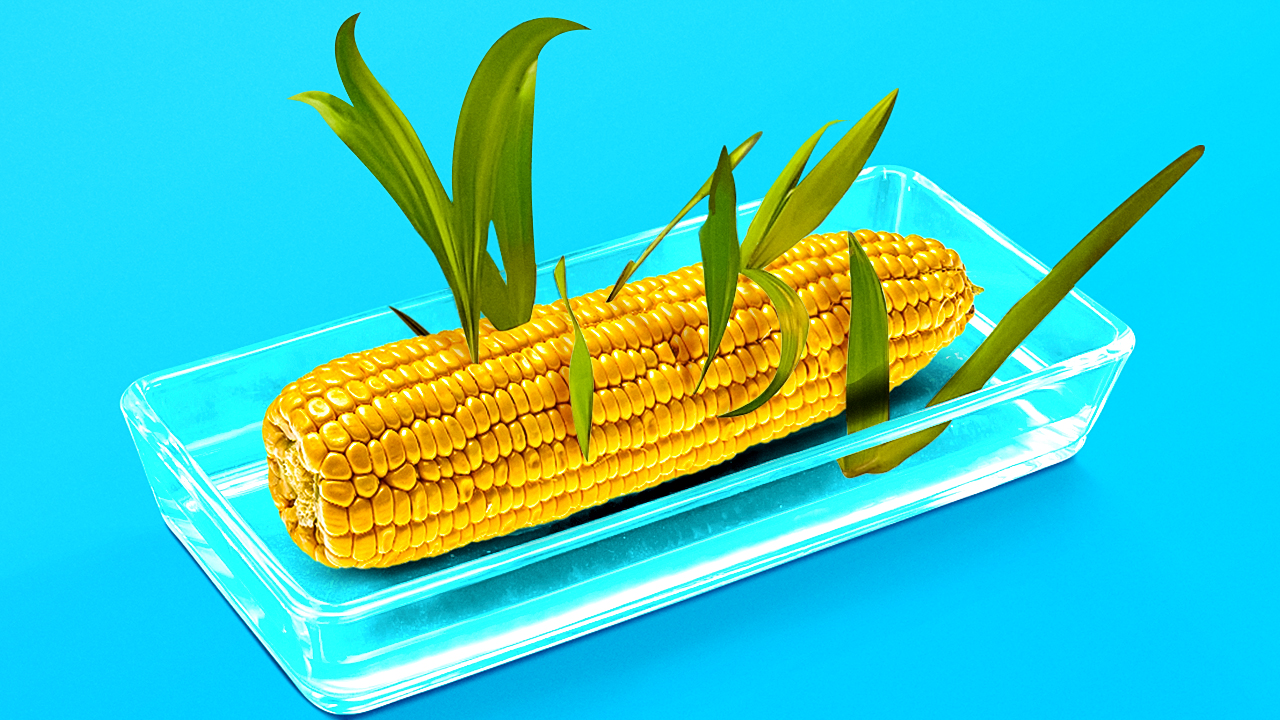 easy-gardening-tips-to-grow-any-plant-at-home