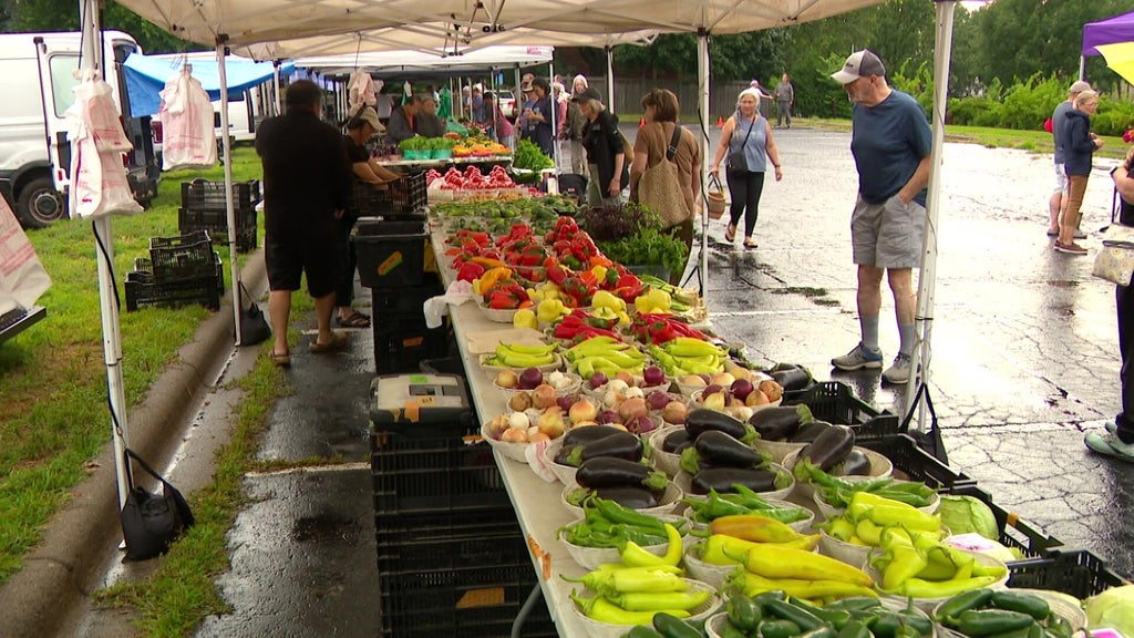 Food contamination scares prompt safety questions for Twin Cities farmers markets