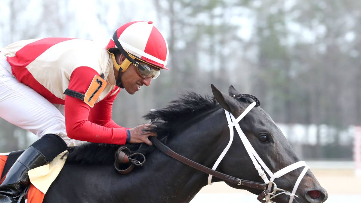 Illuminare retired to West Virginia's Taylor Mountain Farm