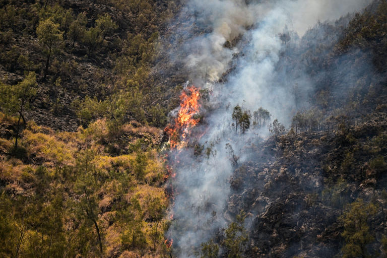 Fire reaches Borneo orangutan center as Indonesia's worst season looms
