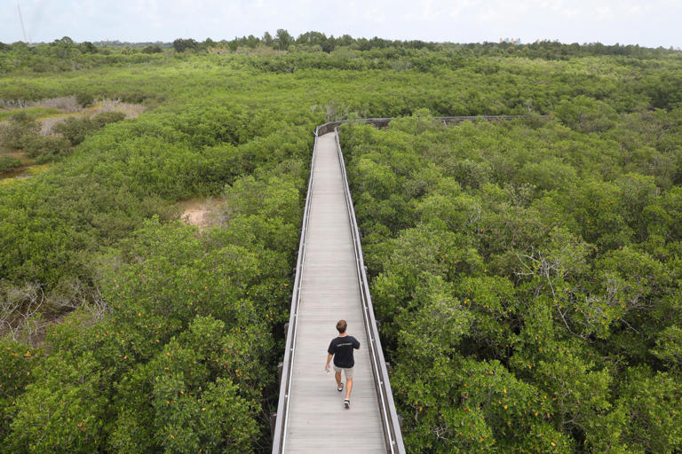 Weedon Island, Shell Key preserves could lose Pinellas County funding