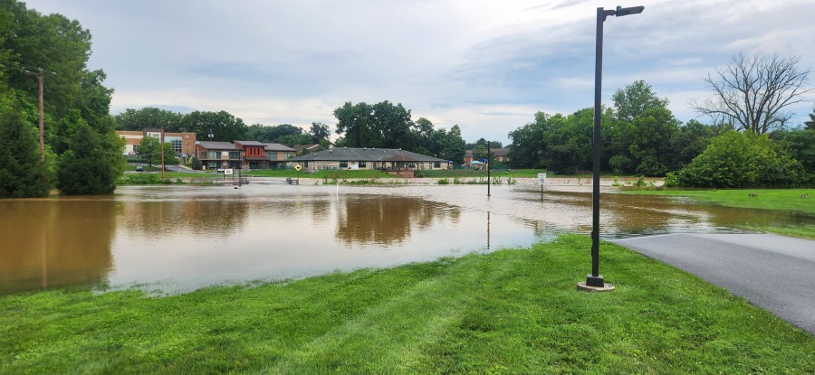 Cows stuck in water, areas flooded after storm dumps heavy rain in Lancaster County Severe Weather Alerts