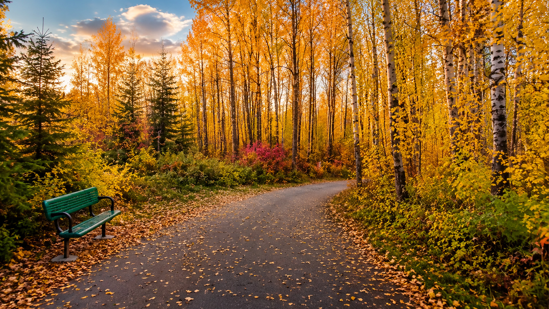 Devon Voyageur Park covered in golden autumn trees