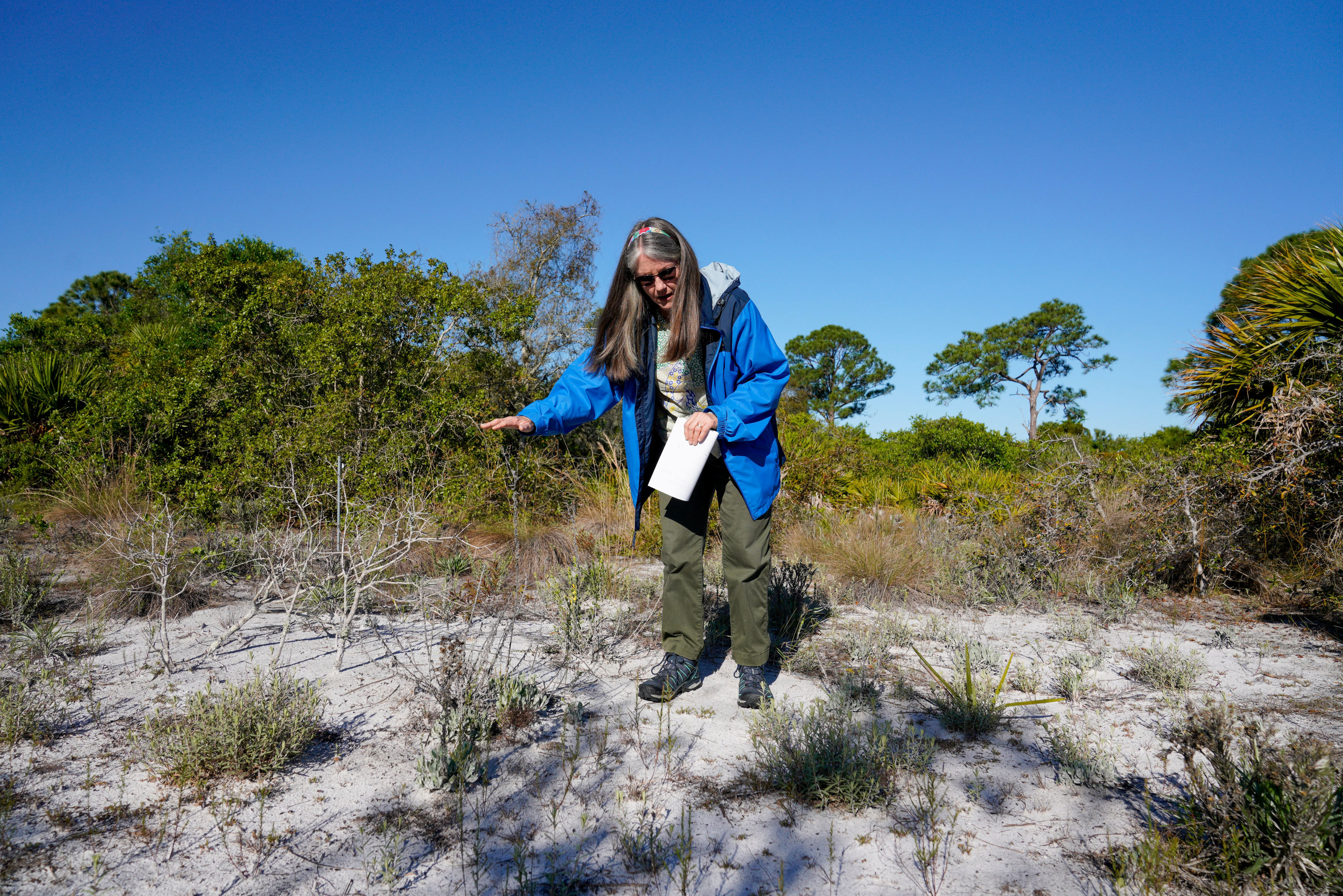 Weedon Island, Shell Key preserves could lose Pinellas County funding