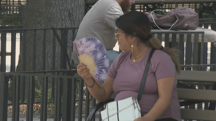 Heat and humidity bring tropical rainforest conditions to NYC