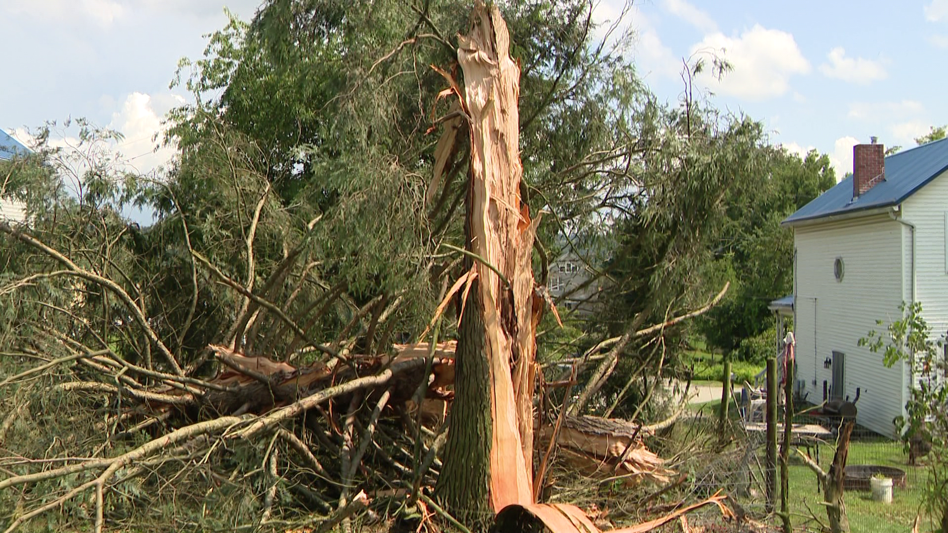 'It was an instant flash': Lightning strikes tree in Jefferson Hills