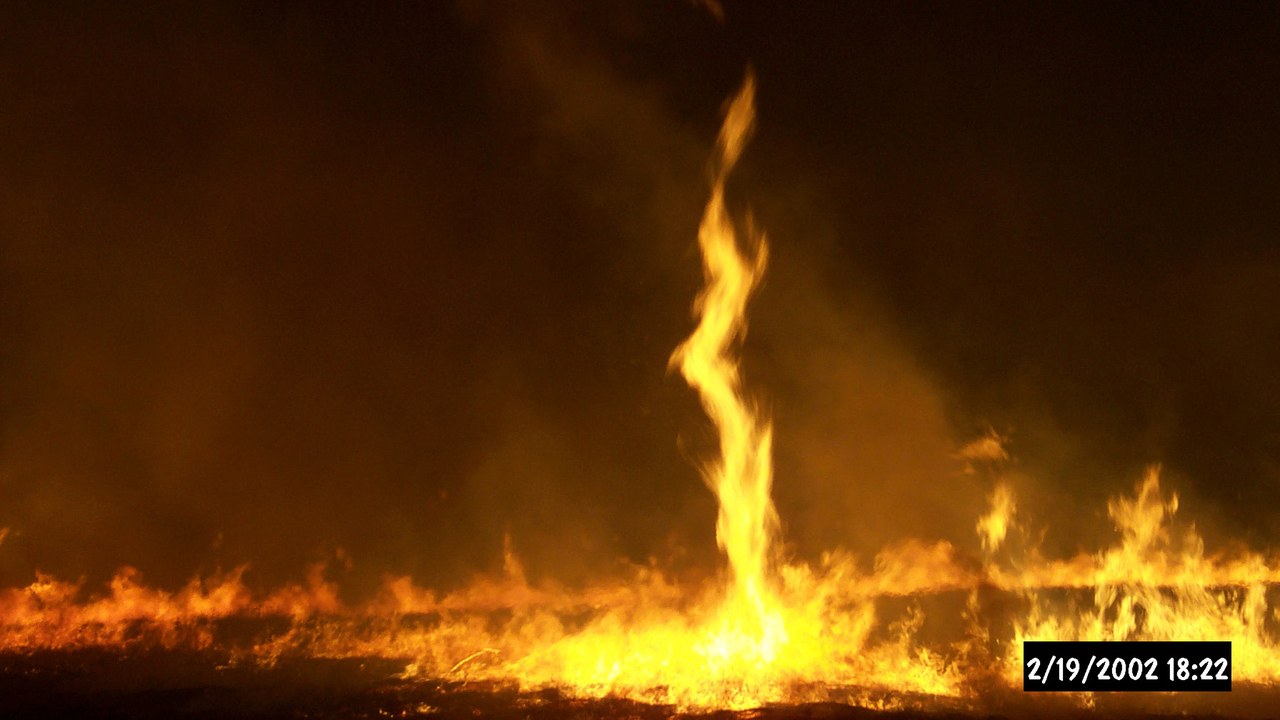 A wildfire can spin up a whirling tower of flame called a fire whirl
