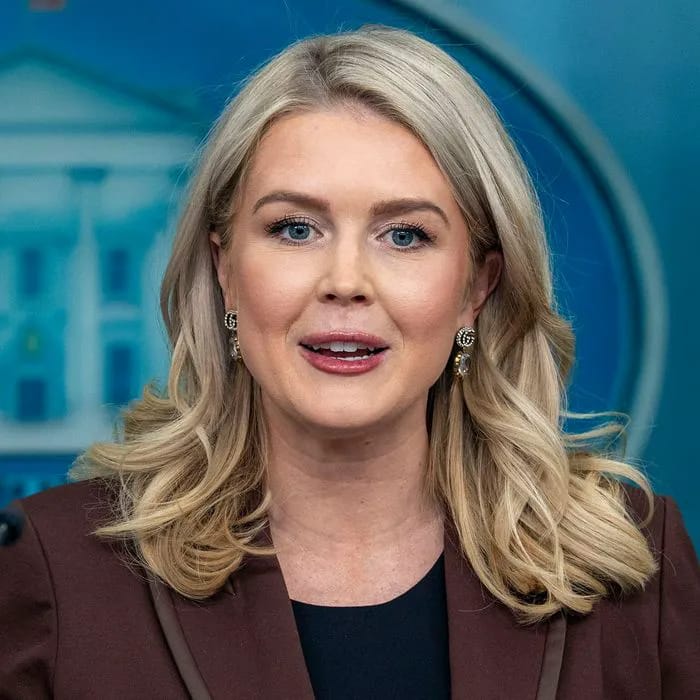 Social media calls Karoline Leavitt 'disgraceful' after she says Epstein files are a 'classic Washington hoax' in resurfaced interview clip: 'She's a mother!'