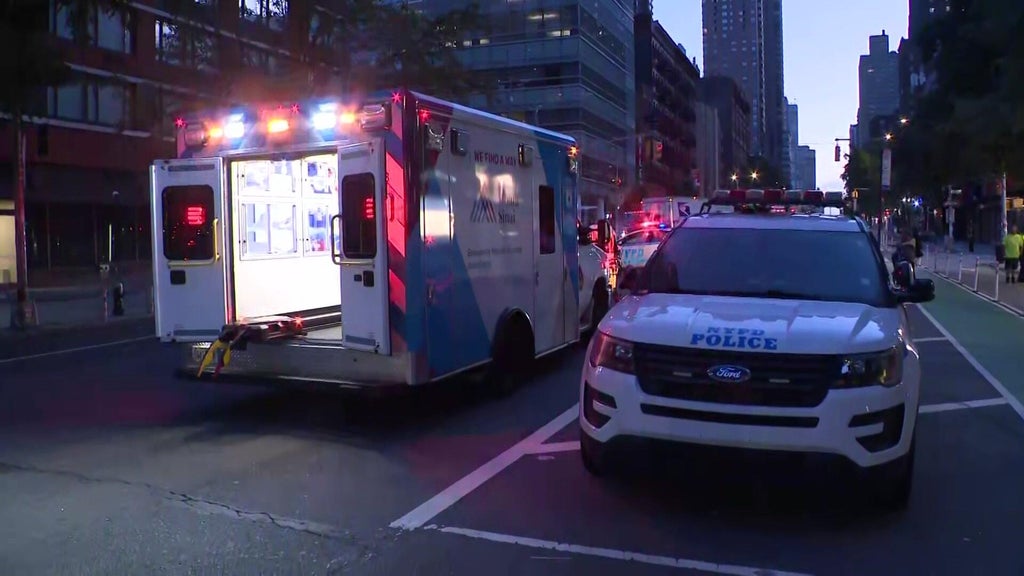 Pedestrian fatally struck by USPS truck in Manhattan, police sources say