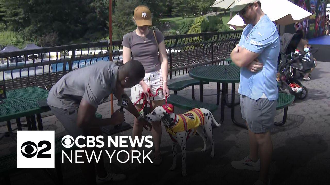 Paw Patrol pup look-alike contest in Central Park | Full coverage