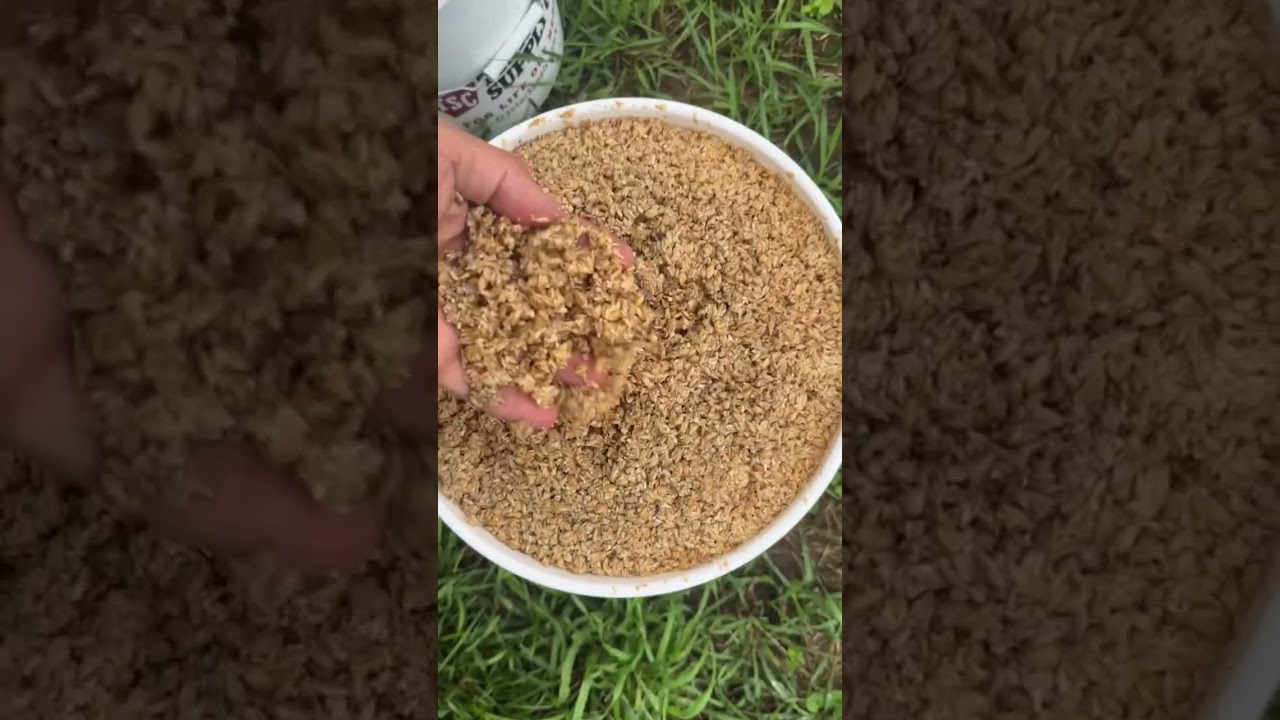 See how pigs help recycle food waste on a Vermont farm