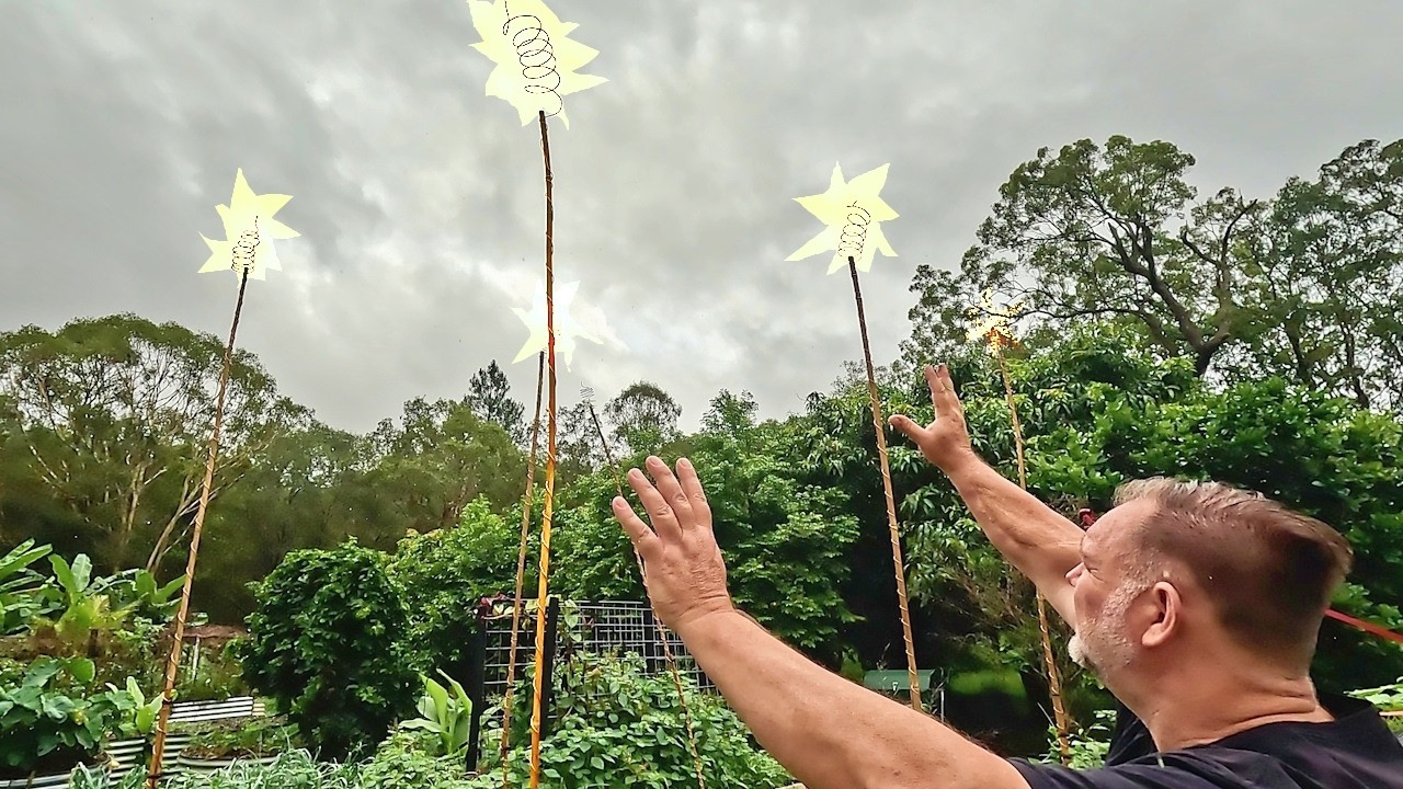 Does electricity from the sky grow bigger vegetables?