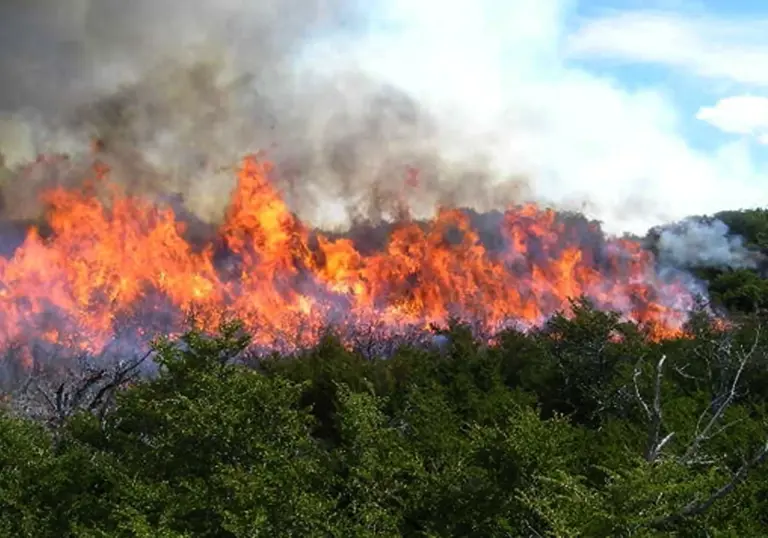 incendios 1111 escalada Moncloa