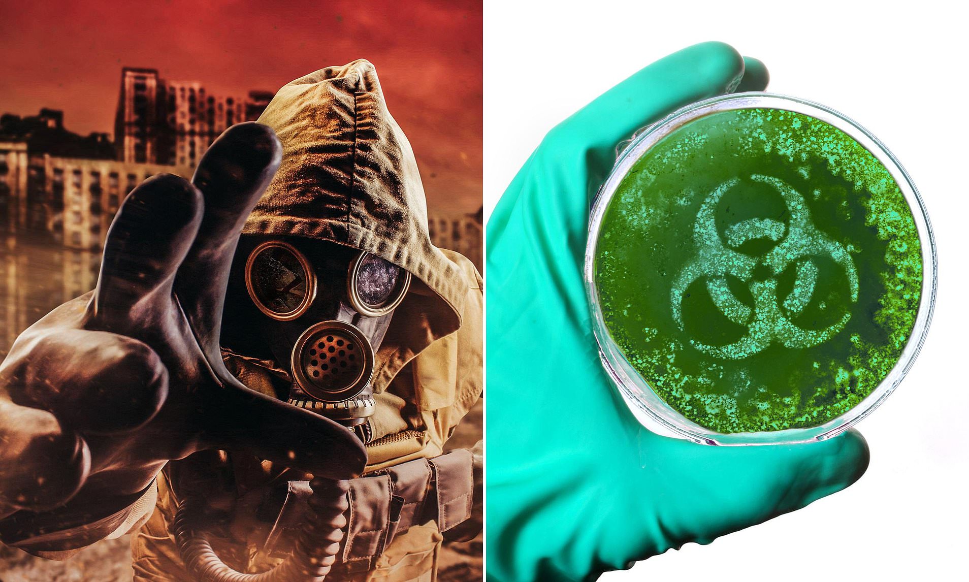 Doomsday warning over AI viruses that aim to fight scourge of antibiotic resistance: Ian Gallagher