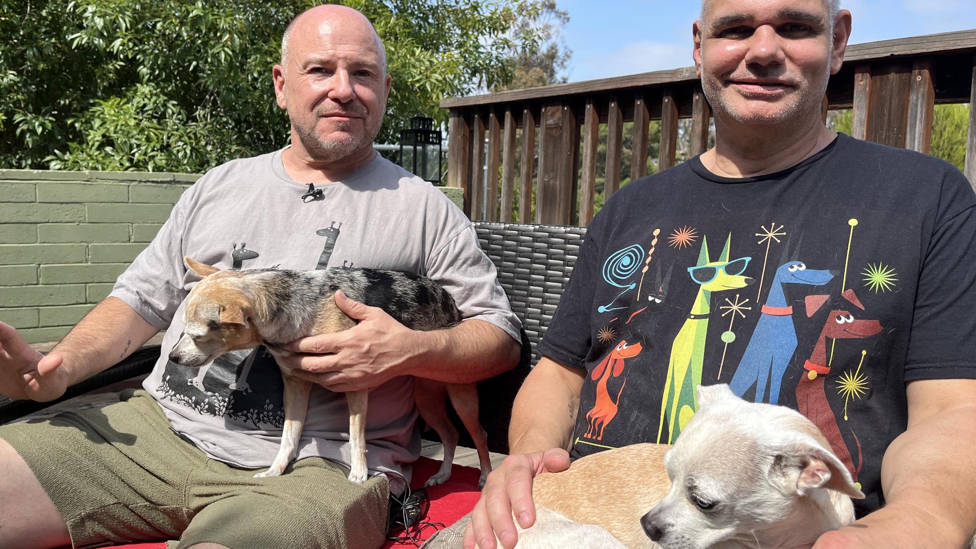 CrashCart Pet Haven supports pet owners in addiction recovery with free ...