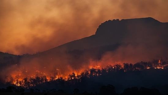 Double Spring Fire near Gardnerville: Latest update on blaze in Nevada ...
