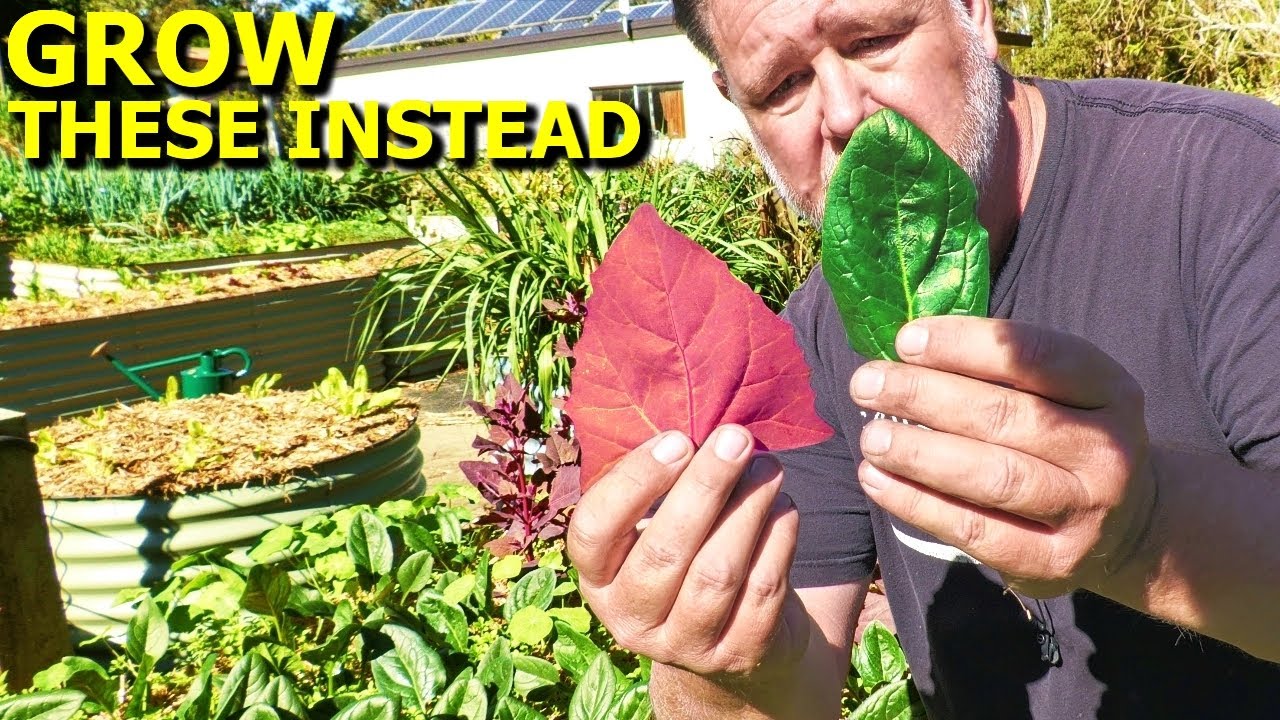 6 tough veggies and their easy, tasty substitutes for home gardeners