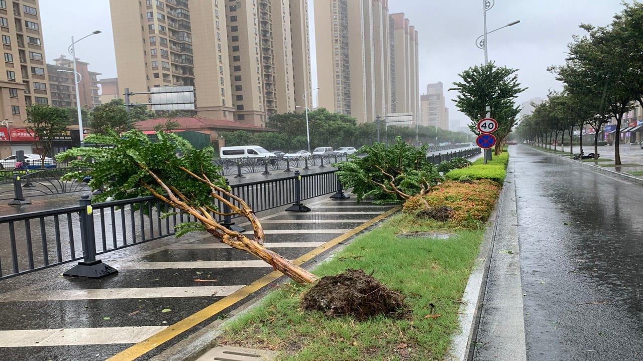 Typhoon Dolphin: Shanghai cancels 1,300 flights as China issues red ...