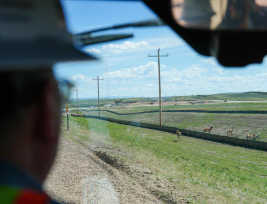 A worker at TerraPower’s Kemmerer Unit 1 nuclear power plant project in southwestern Wyoming, watches at pronghorn cross the site, where workers have taken steps to protect wildlife while building the nuclear reactor site, in a photo taken in May 2026.