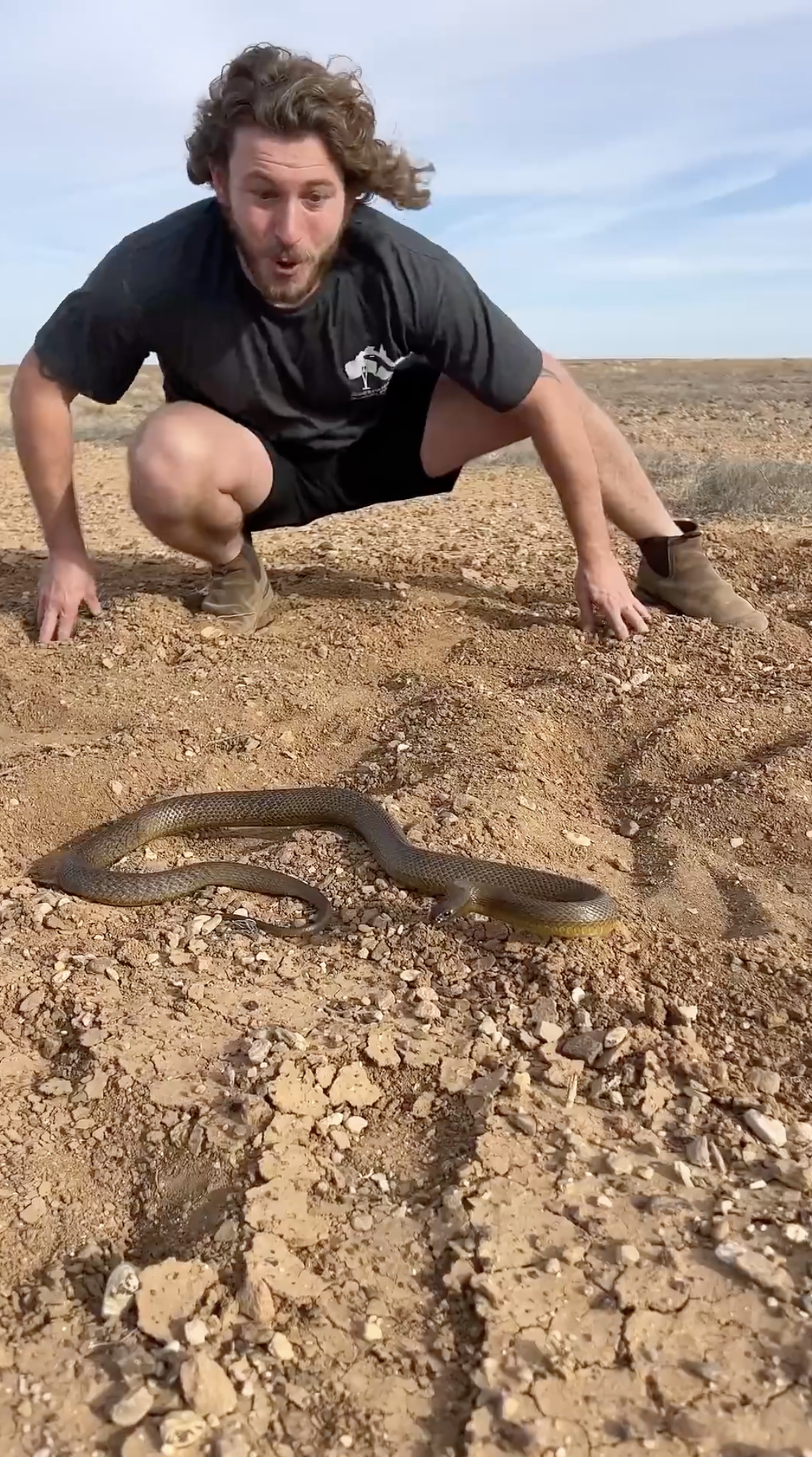 Face-to-face with the world’s most venomous snake