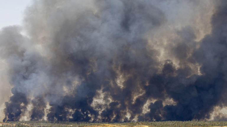 Vista del incendio forestal en Niebla (Huelva). (EFE/Alberto Díaz)
