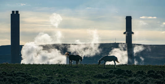 Two horses graze as steam rises from the Naughton power plant near Kemmerer, Wyoming, in a photo taken in May 2026. The power plant was originally powered by coal mined nearby but now makes electricity by burning natural gas. A nuclear power plant is being built a few miles away.