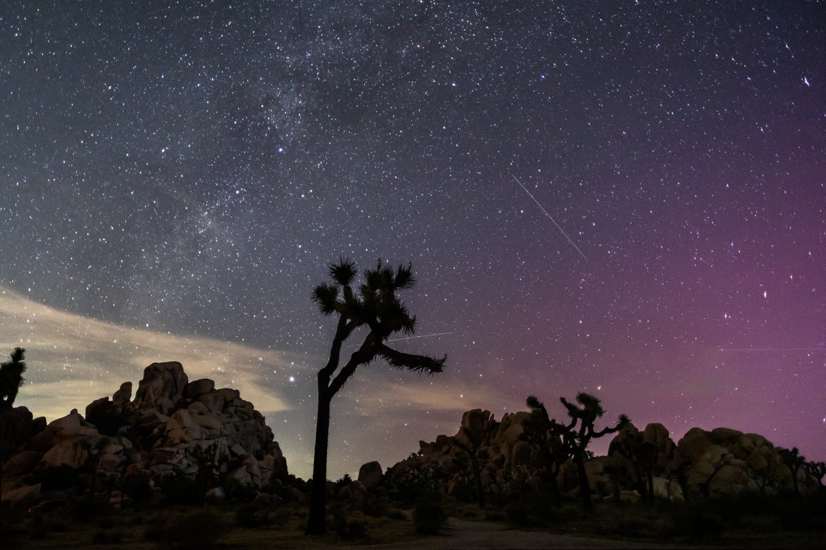 How to watch the Perseid meteor shower at its peak this week