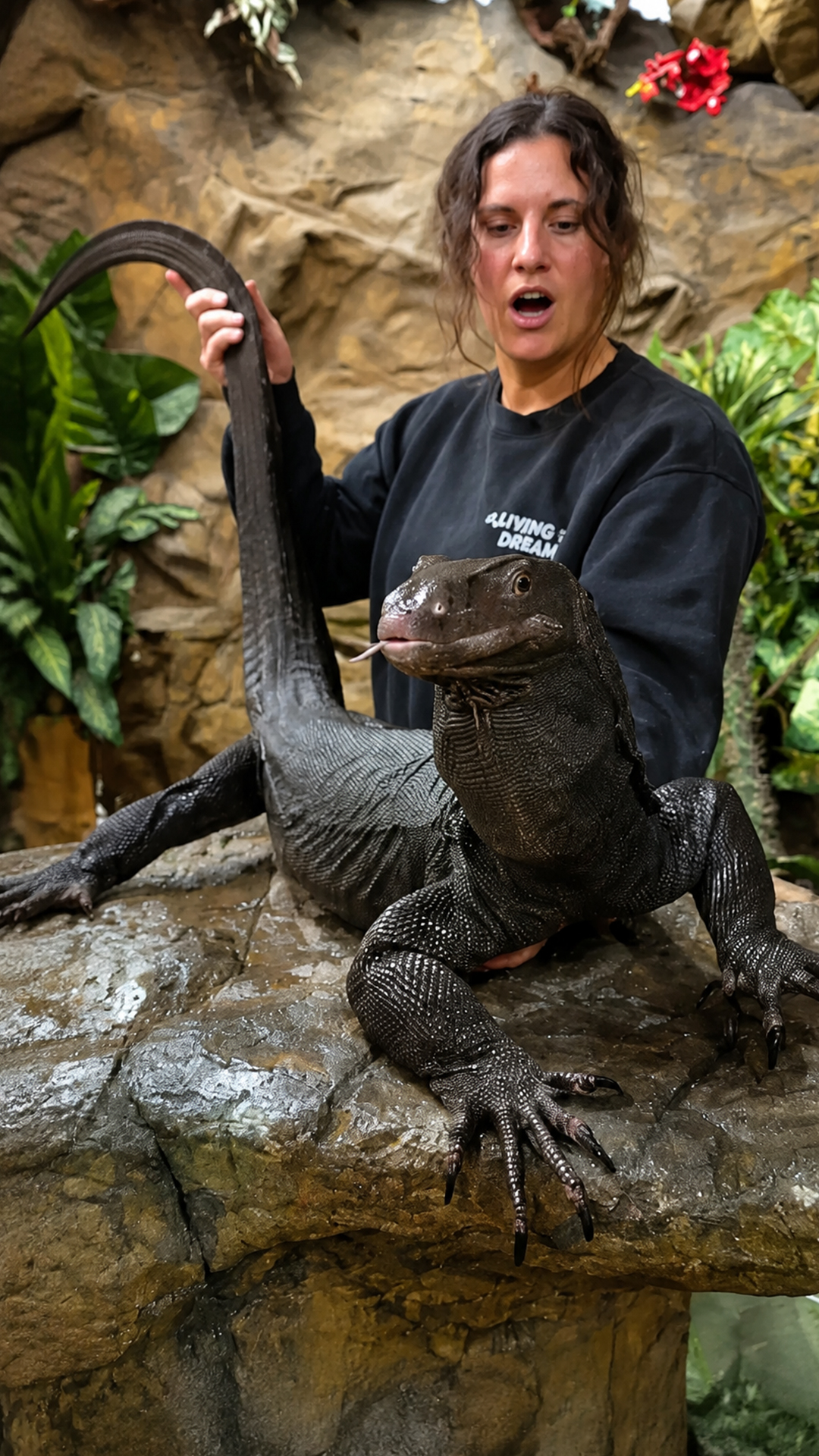 Water monitor cleaning routine highlights reptile care and gentle handling