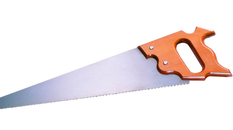 15 types of saws that can cut through any wood