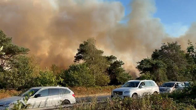 Police urge motorists to 'flee your vehicles if you want to stay alive ...