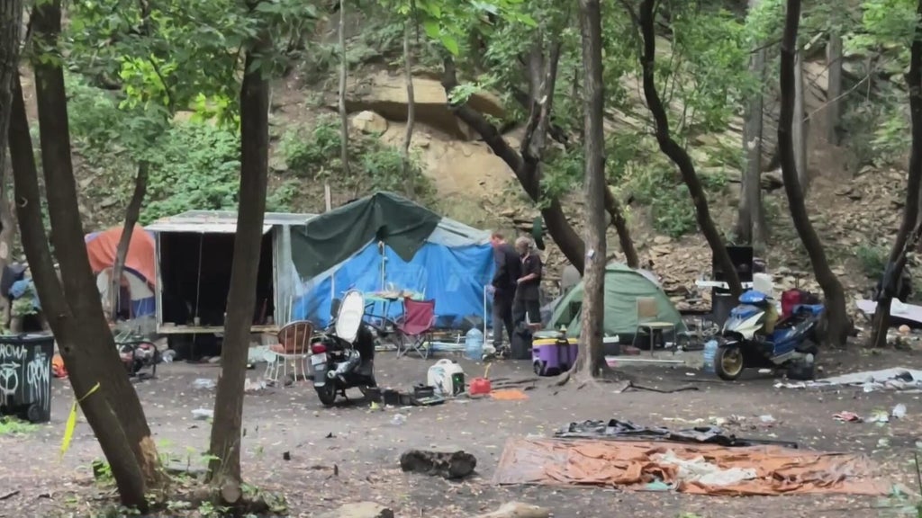 After Pig's Eye closure, St. Paul encampment doubles in size near luxury apartments