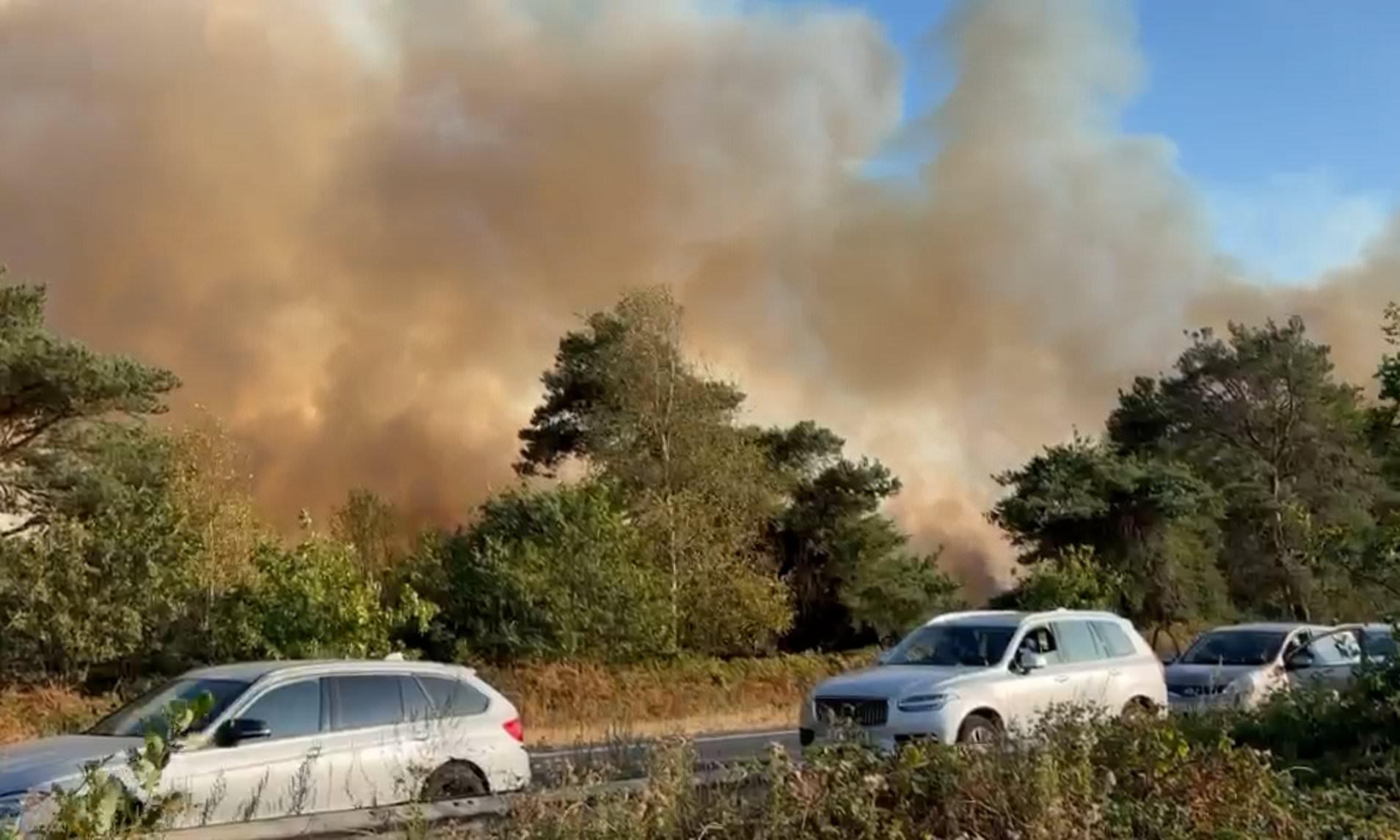 Police urge motorists to 'flee your vehicles if you want to stay alive' as fire spreads across A31
