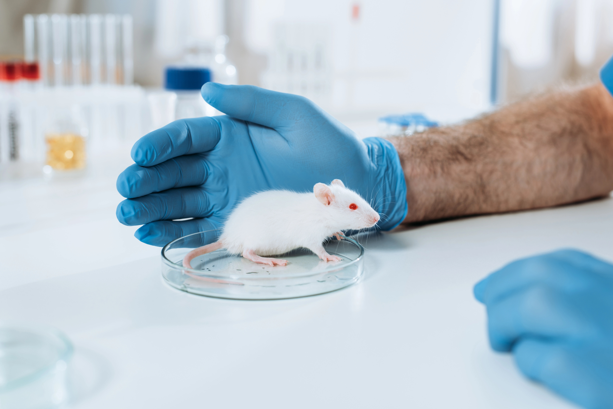 27-psychological-experiments-that-changed-how-scientists-understand