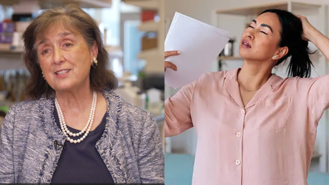 Top US professor reveals the brain changes during menopause linked to ...