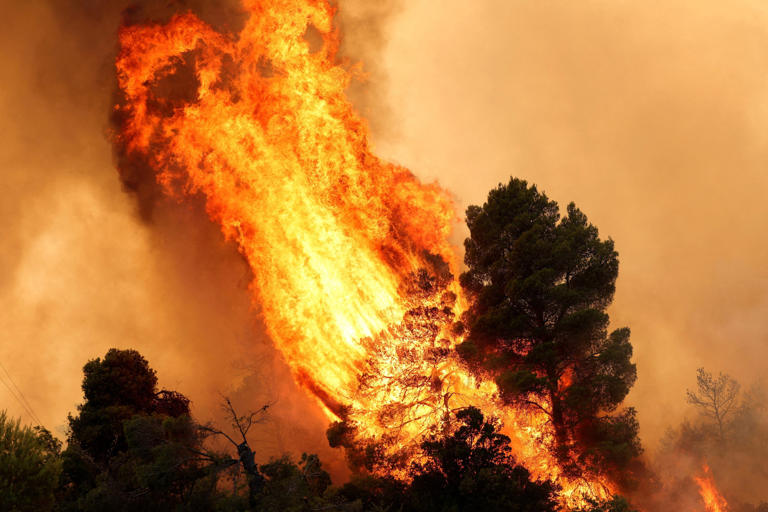 On the 2nd, trees burn due to wildfires near the village of Agia Paraskevi, Greece. /Reuters-Yonhap