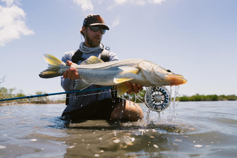 Belize's most overlooked fish