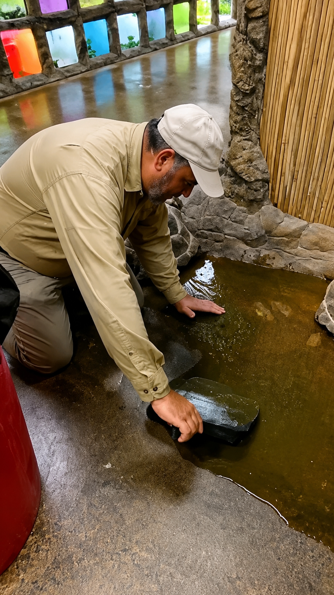 Turtle habitat cleaning shows the work behind animal care