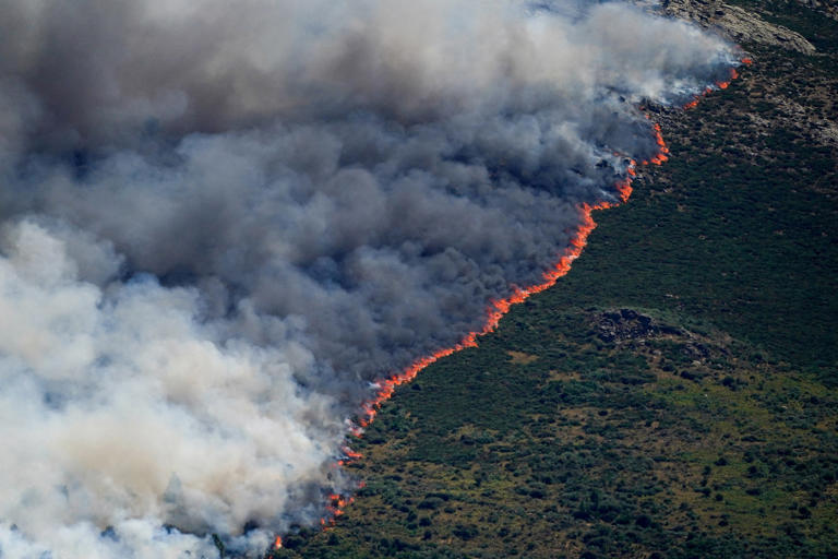 On the 23rd of last month, wildfires spread along a mountain ridge in the mountainous area of Burgohondo, Ávila Province, Spain. /Reuters-Yonhap
