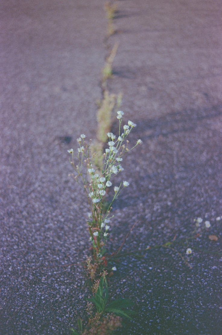 Unsplash