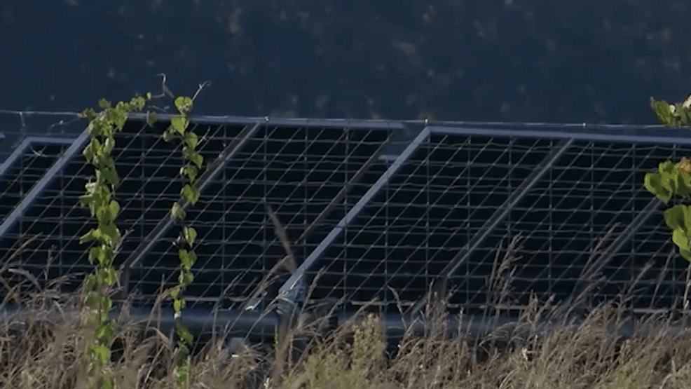 Darlington Co. neighbors push back against proposed 417-acre solar project