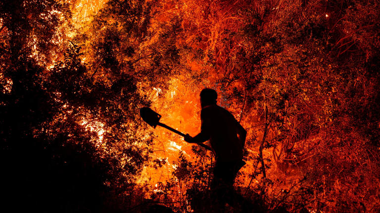 On the 29th of last month, a resident engages in wildfire containment efforts in Seydikemer, Muğla Province, Turkey. /Reuters-Yonhap