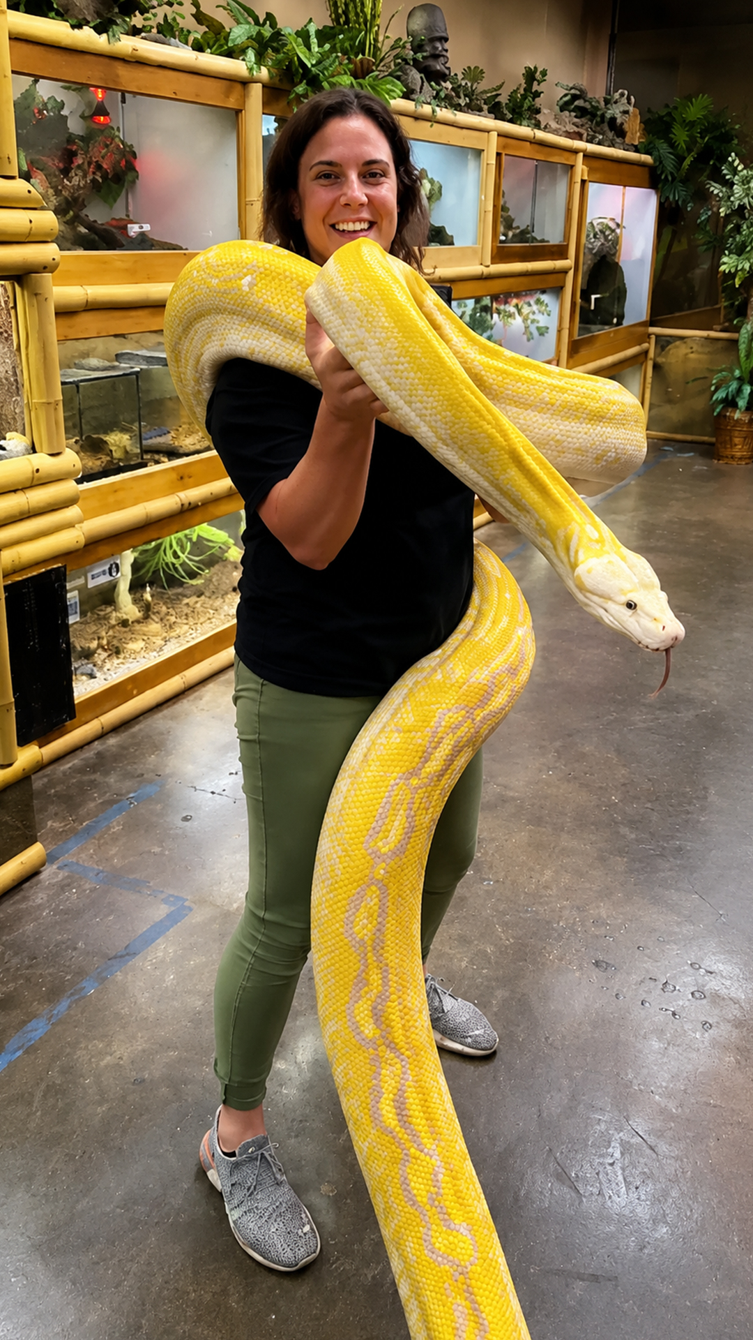 Handling a giant python requires patience and careful movement