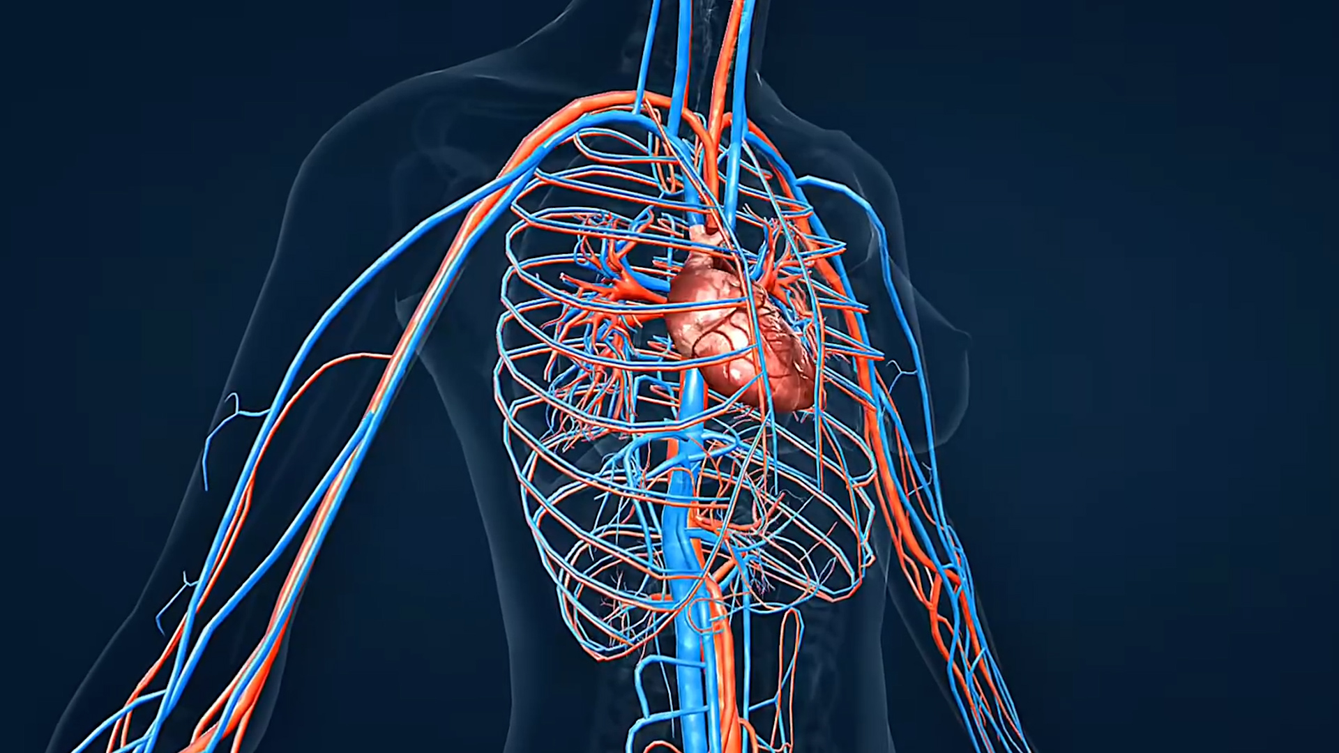 Heart Failure Explained The Early Symptoms And Treatments That 