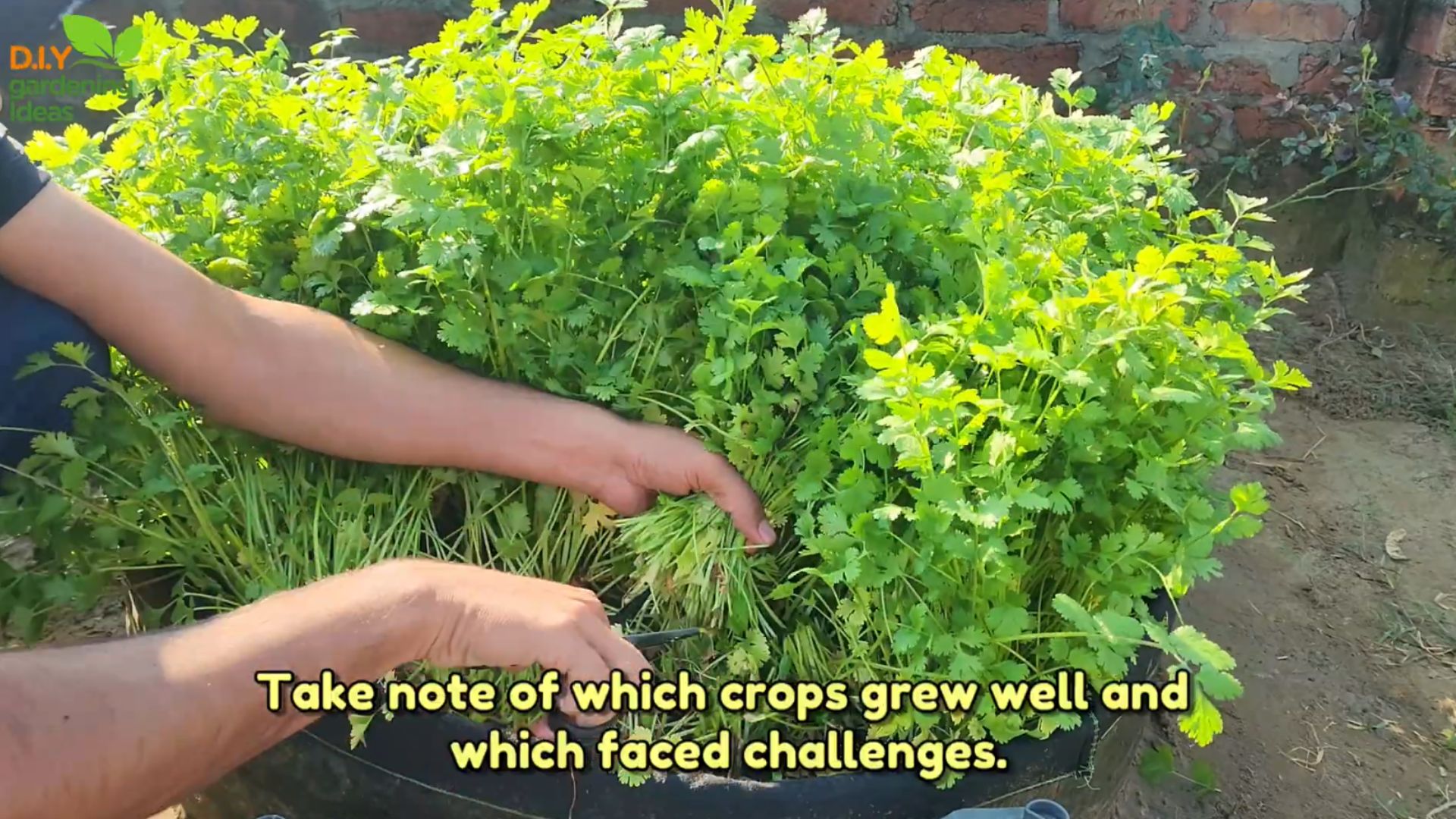 5 essential fall garden tasks for a successful spring harvest