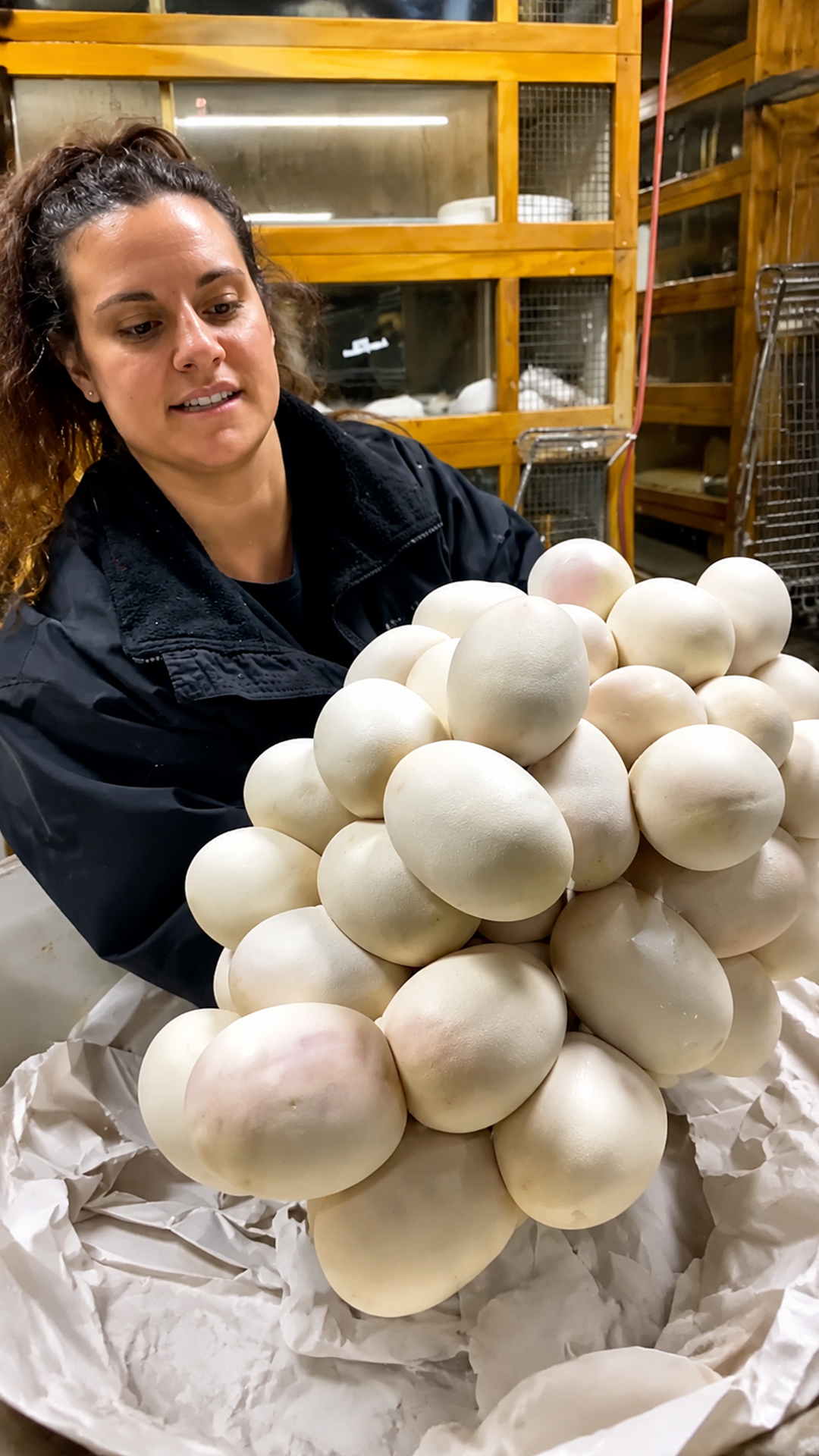 Snake eggs fill the table during a surprising reptile care moment