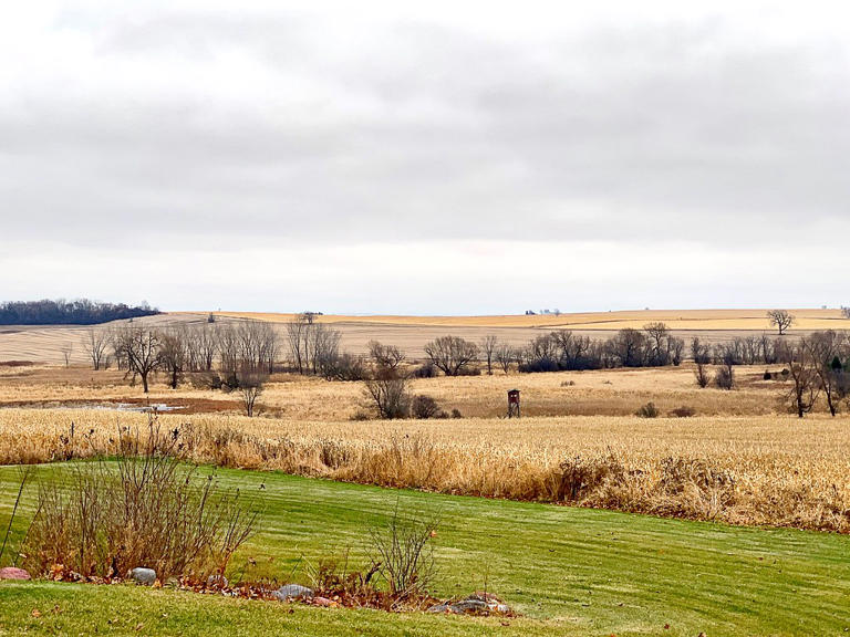 Wisconsin farm frustration shakes up a US House race