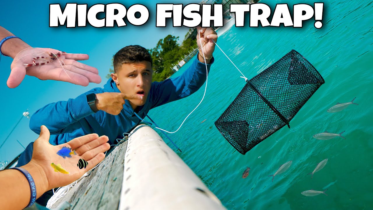 Testing a micro fish trap in my aquarium