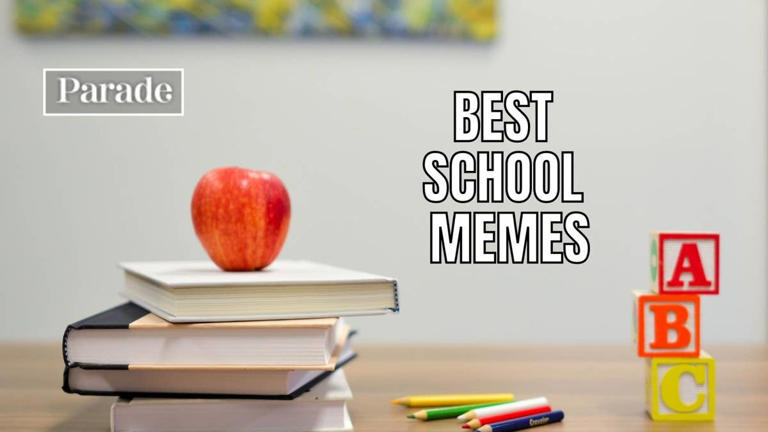 60-hilarious-school-memes-that-will-make-you-laugh-and-relate