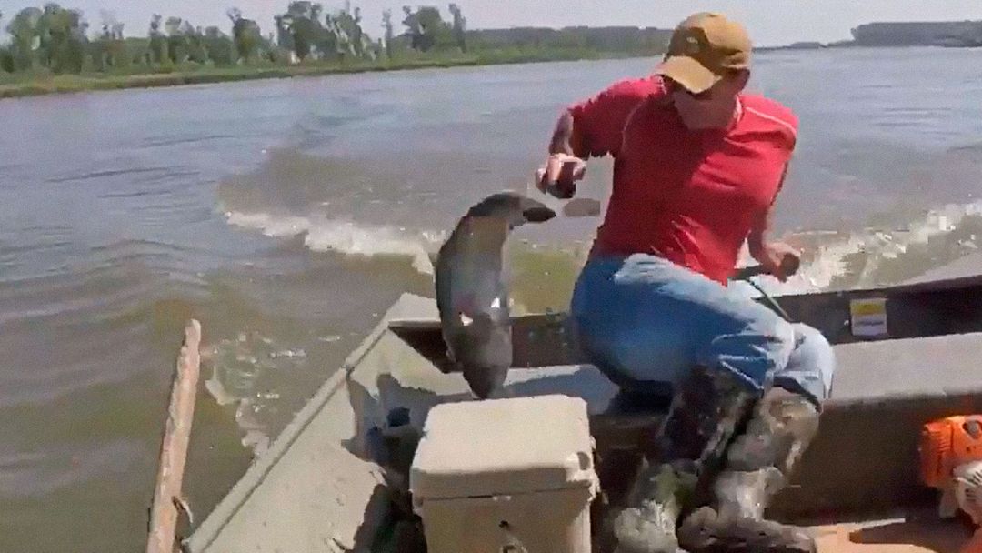 Catching fish with beer?
