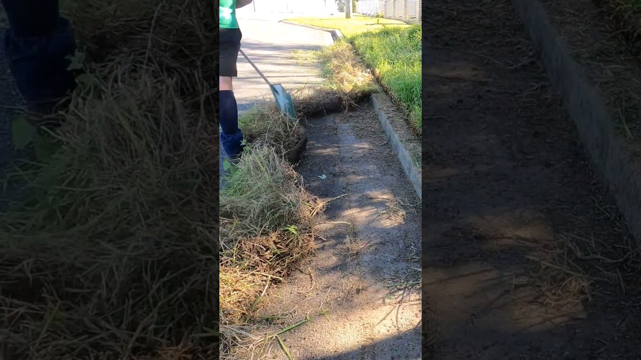 30 second lawn edge transformation... the sidewalk was still under ...